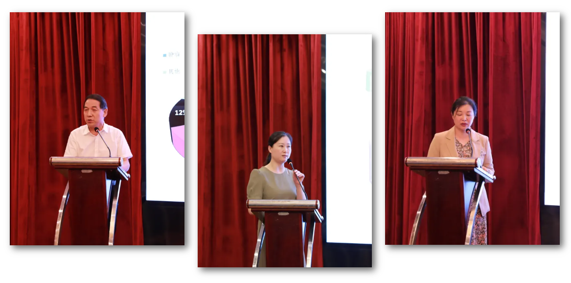 1755166246784600.png 44.png